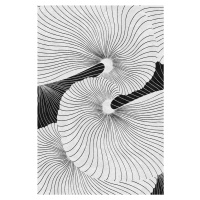 Ilustrace Shell, Leemo, (26.7 x 40 cm)