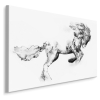 MyBestHome BOX Plátno Kůň Jak Načrtnut Varianta: 100x70