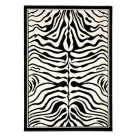 Alfa Carpets Kusový koberec Zebra black/white 120 × 170 cm