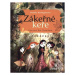 Zákeřné keře - Daniela Krolupperová - kniha z kategorie Pro děti