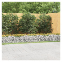 vidaXL Klenutý gabion vyvýšený záhon 600x100x50 cm pozinkované železo