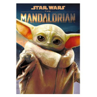 TREFL Premium Plus Star Wars: Mandalorian - Grogu 1000 dílků