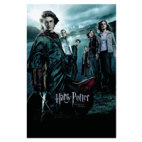 Umělecký tisk Harry Potter and the Goblet of Fire, 26.7 × 40 cm