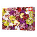 Puzzle Orchid Collage Educa 1000 dílků a Fix lepidlo