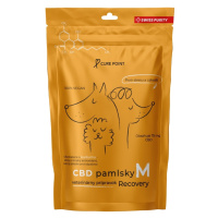 Cure Point CBD Pamlsky Recovery 100g - M (10 až 35kg)