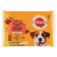 Pedigree Adult hovězí & drůbeží 4 x 100 g