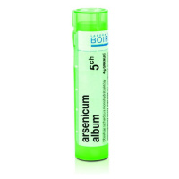 BOIRON Arsenicum album CH5 4 g