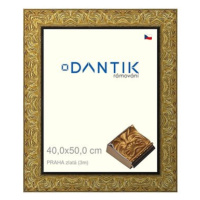 DANTIK rámeček 40 × 50, PRAHA zlatý plexi čiré