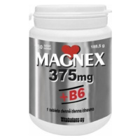 Magnex 375mg+B6 tbl.180