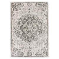 Šedo-krémový koberec 120x170 cm Nova – Asiatic Carpets