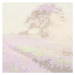 KIK Malování podle čísel: Levandulové pole, plátno na rámu 40x50 cm