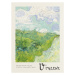 Obrazová reprodukce Green Wheat Fields - Vincent van Gogh, 30x40 cm