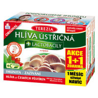 Terezia Hlíva ústřičná + lactobacily 60+60 kapslí 1+1 ZDARMA