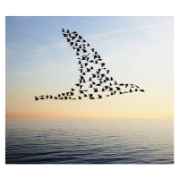 Ilustrace Flock of birds in bird formation flying above sea, Tim Robberts, (40 x 35 cm)