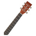 Tanglewood TR 5 CE