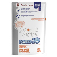 Forza10 Actiwet Renal active wet lamb pro kočky - 24 x 100 g