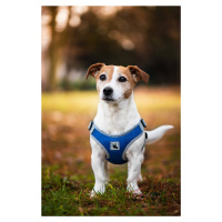Vsepropejska Rigby prodyšné kšíry pro psa | 36 – 68 cm Barva: Tmavě modrá, Obvod hrudníku: 54 - 