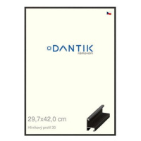 DANTIK rámeček 29,7 × 42, ALU profil 6030 Dýha černý plexi čiré