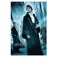 Umělecký tisk Harry Potter and the Goblet of Fire - Harry, 26.7 × 40 cm