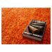 Mono Carpet Kusový koberec Efor Shaggy 3419 Orange - 160x230 cm