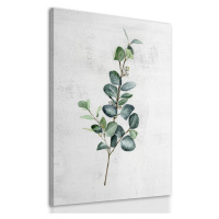 Obraz na plátně EUCALYPTUS A různé rozměry Ludesign ludesign obrazy: 70x50 cm