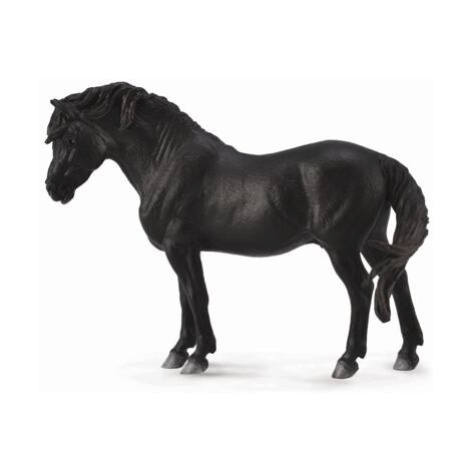 COLLECTA Dartmoorský pony - černý MAC TOYS