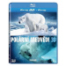 Polární medvědi 3D - Blu-ray