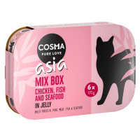 Cosma Thai/Asia v želé 24 x 170 g - Míchané balení (4 druhy)