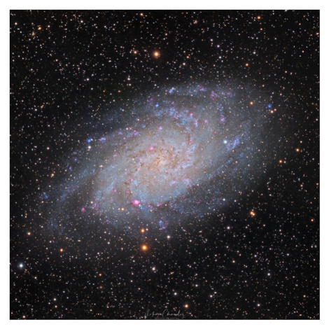 Fotografie Triangulum Galaxy, vikas chander, 40x40 cm