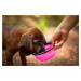 Vsepropejska Folo cestovní miska se skobou pro psa Barva: Zelená