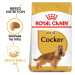 Royal Canin Cocker Adult - granule pro dospělého kokršpaněla - 3kg