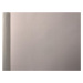 P492440099 A.S. Création vliesová tapeta na zeď Styleguide Jung 2024 jednobarevná, velikost 10,0