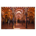 Umělecká fotografie Interior of Mosque of Cordoba, Spain, Danny Lehman, (40 x 26.7 cm)