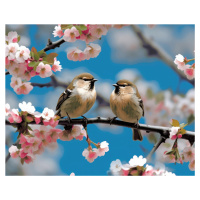 Obrazy na stěnu - Dva ptáci na kvetoucí větev Rozměr: 40x50 cm, Rámování: bez rámu a bez vypnutí