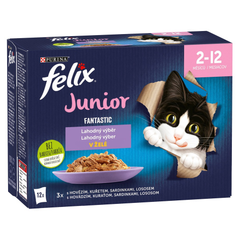 Felix Fantastic Junior kapsičky pro koťata hovězí, kuře, sardinky, losos v želé 12x85 g