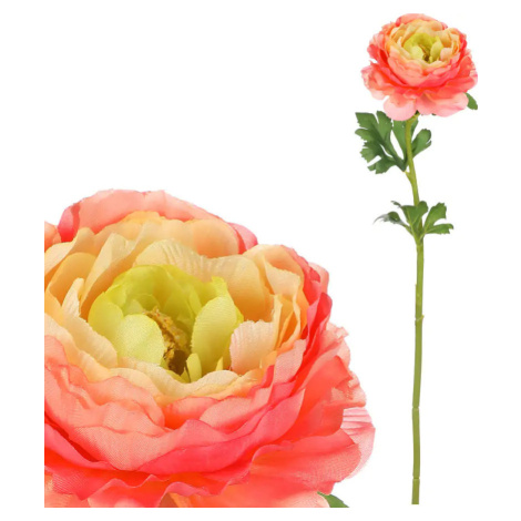 Autronic Ranunculus růžovo-žlutý UKK354-PINK