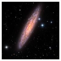 Fotografie Sculptor Galaxy, Vikas Chander, 40 × 40 cm