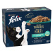 Felix Delicious Slices 12 x 80 g - Ocean Selection - losos, tuňák, treska, platýs