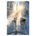 Fotografie Personal perspective of person dogsledding in, Roberto Moiola / Sysaworld, 26.7 × 40 