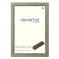 DANTIK rámeček 20 × 30, AKVAREL zelený sklo čiré