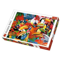 Trefl puzzle Barevné ptáci 500