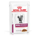 Royal Canin Veterinary Feline Renal - Výhodné balení – hovězí 24 x 85 g