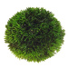 Hobby Plant Ball 13 cm