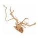 Akvarijní dekorace pavoučí kořen 50-60cm Zolux sleva 10%