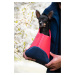 Vsepropejska Geri cestovní taška pro psa Barva: Modrá, Dle váhy psa: do 3,5 kg