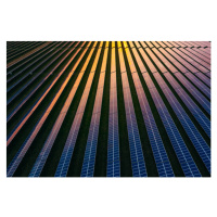 Fotografie Solar panels at dusk, Justin Paget, 40 × 26.7 cm