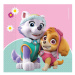 PROCOS - Ubrousky Paw Patrol 33x33cm 20ks