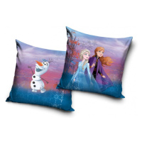 CARBOTEX - Povlak na polštářek 40/40cm Disney Frozen, FRO2293008