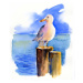 Keeling, John - Obrazová reprodukce Seagull on dock, 2014,, (35 x 40 cm)