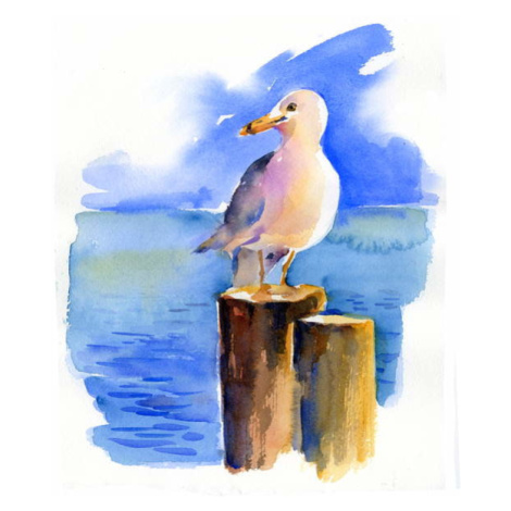 Obrazová reprodukce Seagull on dock, 2014,, Keeling, John, 33.7 × 40 cm